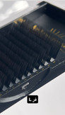پالت فست فن لش پروفسور LASH PROFESSOR