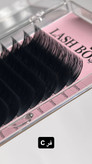 پالت لش باس LASH BOSS
